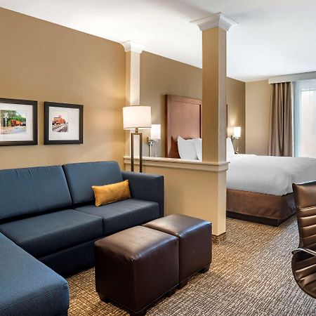 Comfort Inn & Suites Харрисонберг Экстерьер фото